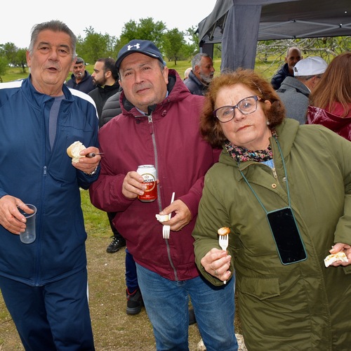 Gira Sananton - 1 de 80